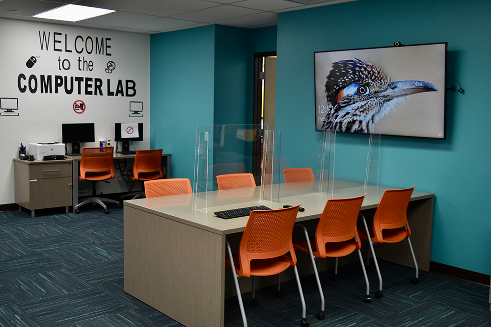 Foster Youth Center Study area
