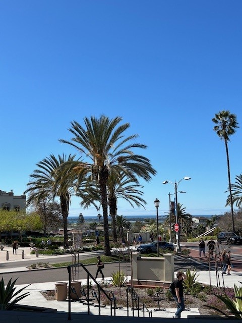 A photo looking out at the entrance of USD