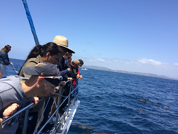 Student Veterans watching dolphins