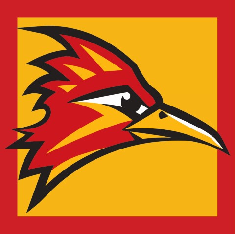 Roadrunner Head Logo