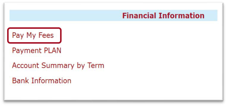 Sección del menú de información financiera con cuatro enlaces diferentes a continuación. Cuadro rojo resaltado alrededor del enlace pagar mis cuotas.