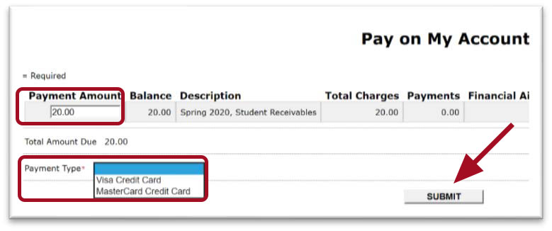 Pay on My Account page. Red highlighted box around Payment Amount text entry area and Payment Type drop down menu. Payment type drop down menu included Visa and MasterCard Credit Card options. Red arrow pointing towards Submit button at bottom of page.